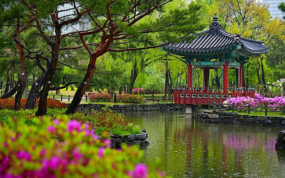 A pond with flowers is visible in Yeouido Garden.